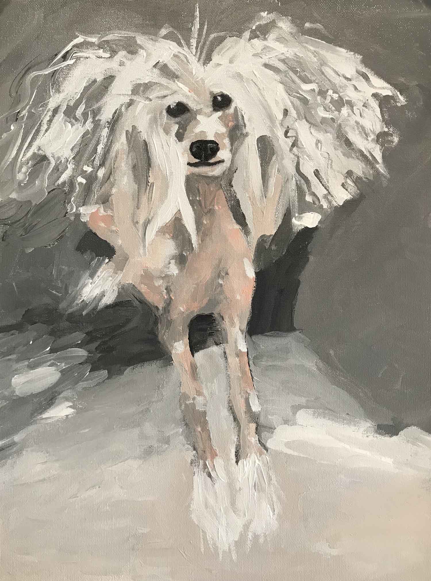 CHINESE CRESTED PORTRAIT