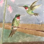 MONTANA HUMMING BIRDS